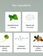 Abib Heartleaf Mild Foam Cleanser spuma de curatare revigoranta pentru ten acneic 150 ml