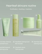 Abib Heartleaf Mild Foam Cleanser spuma de curatare revigoranta pentru ten acneic 150 ml