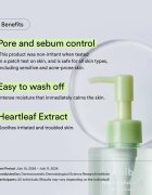 Abib Heartleaf Pore Cleansing Oil-wash ulei de curățare blând cu efect calmant 200 ml