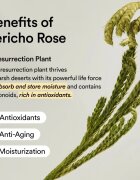 Abib Rice Probiotics Overnight Mask Barrier Jelly masca faciala de noapte pentru hidratare intensa 80 ml