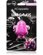 ACappella Grape parfum pentru masina 14 g