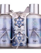 Accentra Winter Wonderland set cadou pentru baie parfum White Tea & Coconut