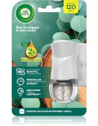 Air Wick Blue Eucalyptus & Cedarwood odorizant electric cu rezervã 19 ml