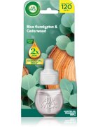 Air Wick Blue Eucalyptus & Cedarwood rezervă pentru difuzorul electric 19 ml