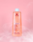 Alama Professional Anti Frizz Gloss Shampoo șampon anti-electrizare 500 ml