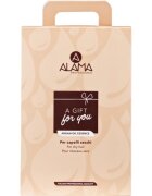 Alama Professional Hydra Gift Box set cadou pentru par uscat 1 buc