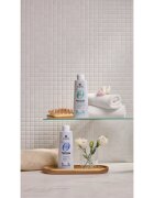 Alama Professional Zero Stress Sebum Regulating Shampoo șampon pentru un scalp seboreic 300 ml