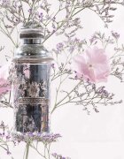 Alexandre.J The Collector: Silver Ombre Eau de Parfum unisex 100 ml