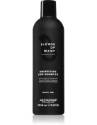 Alfaparf Milano Blends of Many Energizing sampon energizant pentru par fin 250 ml