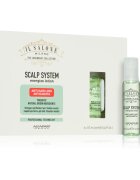 Alfaparf Milano Il Salone Milano Scalp System ser energizant impotriva caderii parului 6x13 ml