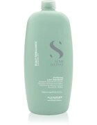 Alfaparf Milano Semi Di Lino Scalp Rebalance sampon de curatare delicat anti matreata 1000 ml
