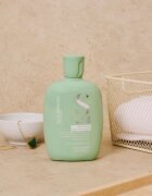 Alfaparf Milano Semi Di Lino Scalp Rebalance șampon pentru scalp gras 250 ml