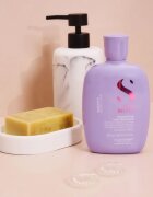 Alfaparf Milano Semi di Lino Smooth sampon pentru indreptarea parului pentru par indisciplinat 250 ml