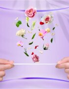 Always Daily Fresh Normal absorbante fara parfum 60 buc