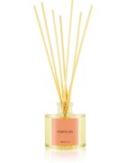 Ambientair COLOURS Pomelo aroma difuzor cu rezervã 100 ml