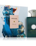 Amouage Enclave Eau de Parfum unisex 100 ml