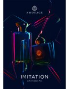 Amouage Imitation Eau de Parfum pentru bărbați 100 ml