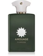 Amouage Purpose Eau de Parfum unisex 100 ml