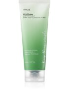 Anua Heartleaf Quercetinol Pore Deep Cleansing Foam Spuma curatare intensa. pentru ten gras și mixt 150 ml