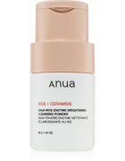 Anua Rice Enzyme Brightening Cleansing Powder pudra de curatare fina faciale 40 g