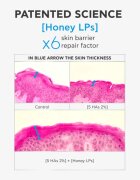 Apivita Bee Tech Concentrates HA5 Honey Repair Serum ser revitalizant cu acid hialuronic 30 ml