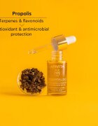 Apivita Beessential Oils Strengthening & Hydrating Day Oil ulei pentru stralucire zi de zi pentru o hidratare intensa 15 ml
