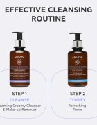 Apivita Cleansing Foaming Cleanser demachiant spumant delicat 200 ml