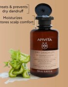 Apivita Dandruff Dry Dandruff Shampoo sampon anti-matreata 250 ml
