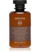Apivita Dandruff Oily Dandruff Shampoo sampon anti-matreata pentru par gras 250 ml