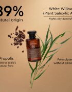 Apivita Dandruff Oily Dandruff Shampoo sampon anti-matreata pentru par gras 250 ml