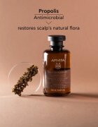 Apivita Dandruff Oily Dandruff Shampoo sampon anti-matreata pentru par gras 250 ml