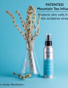 Apivita Greek Mountain Tea Face Water spray antionxidant hidratant 100 ml
