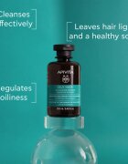 Apivita Oily Hair Oil Balance Shampoo sampon pentru curatarea profunda a scalpului seboreic pentru intarire si stralucire 250 ml