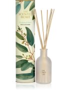 Ashleigh & Burwood London Eucalyptus & Vetiver aroma difuzor cu rezervã 150 ml