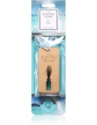 Ashleigh & Burwood London Sea Spray parfum pentru masina 2 buc