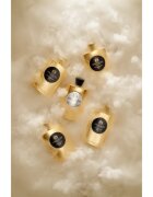 Atkinsons Oud Save The King Eau de Parfum pentru bărbați 100 ml