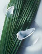 Aveda Botanical Repair™ Intensive Strengthening Masque Light masca cremoasa delicata pentru par frumos si sanatos 25 ml