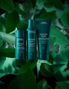 Aveda Botanical Repair™ Pre-Shampoo tratament pre-sampon pentru par deteriorat 150 ml
