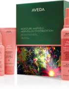 Aveda Holiday Moisture Marvels: Nutriplenish™ Hydrating Essentials Light set cadou de Crăciun pentru păr