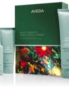 Aveda Holiday Scalp Serenity: Scalp Solutions™ Balancing Essentials set cadou de Crăciun pentru păr