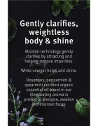 Aveda Rosemary Mint Weightless Conditioner balsam de îngrijire delicată pentru un par stralucitor si catifelat 250 ml