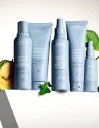 Aveda Smooth Infusion™ Perfect Blow Dry ser de netezire pentru uscare prin suflare anti-electrizare 50 ml