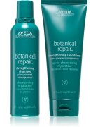 Aveda Strengthening Set set