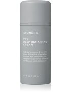 AYUNCHE Pro Deep Repairing Cream crema pentru regenerare in profunzime pentru par deteriorat 100 ml