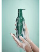 AYUNCHE Rebalancing Shampoo Fresh șampon împotriva subțierii și căderii părului cu efect revigorant 350 g