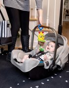 Baby Einstein Cal-a-Puller™ jucarie cu zornăitoare 0m+ 1 buc