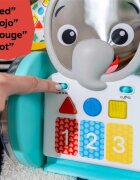 Baby Einstein Chase & Tap Earl Interactive Crawling Toy jucărie muzicală 6 m+ 1 buc