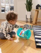 Baby Einstein Chase & Tap Earl Interactive Crawling Toy jucărie muzicală 6 m+ 1 buc
