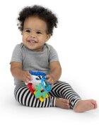 Baby Einstein Ocean Explorers Sea of Sensory Teether Toy jucărie pentru dentiție 3 m+ 1 buc