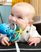 Baby Einstein Opus's Shake & Soothe Teether Toy & Rattle jucărie pentru dentiție cu zornăitoare 0 m+ 1 buc